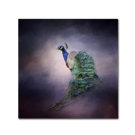 Jai Johnson 'Peacock 11' Canvas Art,14x14